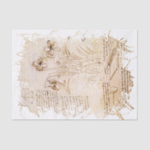 Leonardo da Vinci Inspired  Tissue Paper