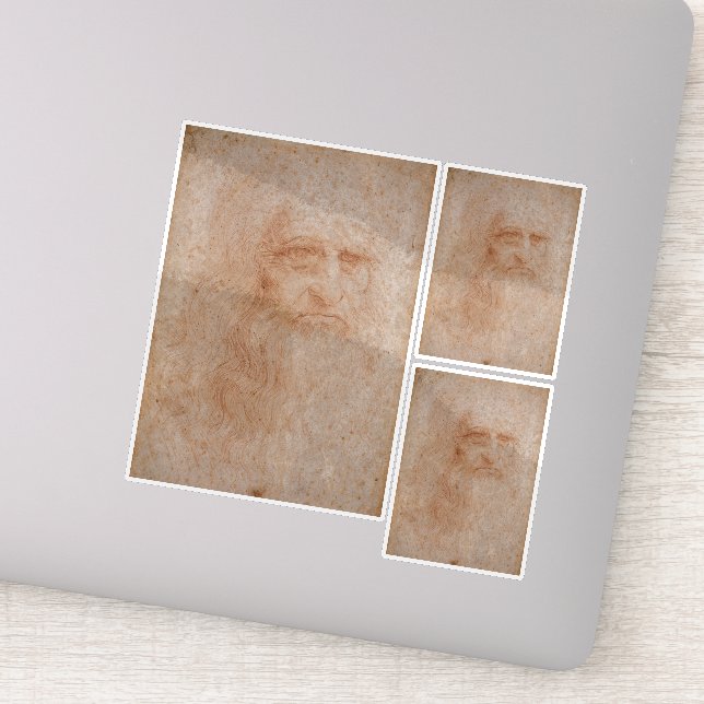 Leonardo Da Vinci, Presumed Self-Portrait (Detail)
