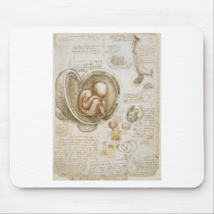 Leonardo da Vinci Studies of the Foetus in the Mouse Mat