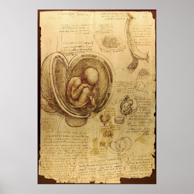 Leonardo Da Vinci -  Study of Anatomy Poster (Front)