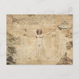 Leonardo Da Vinci The Vitruvian Man Postcard