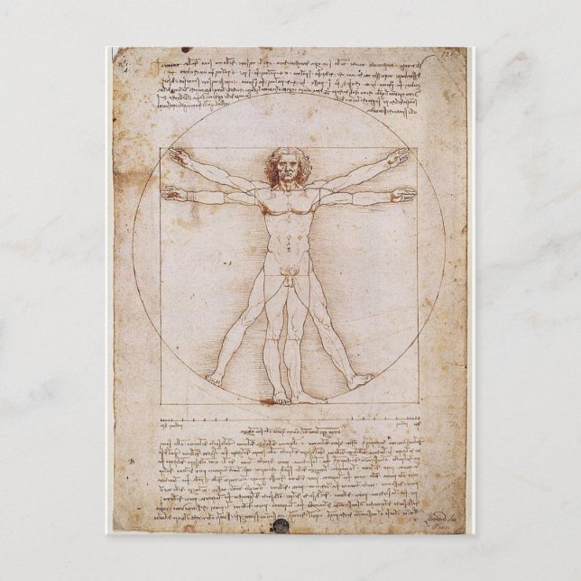 LEONARDO DA VINCI ... VITRUVIAN MAN ... C. 1490   POSTCARD (Front)