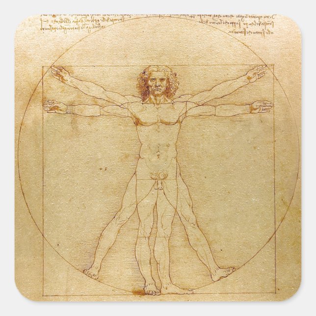 Leonardo da Vinci , Vitruvian Man Square Sticker (Front)