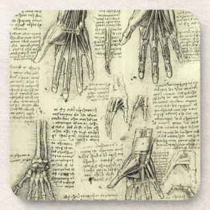 Leonardo da Vinci's Anatomy of the Human Hand Coaster