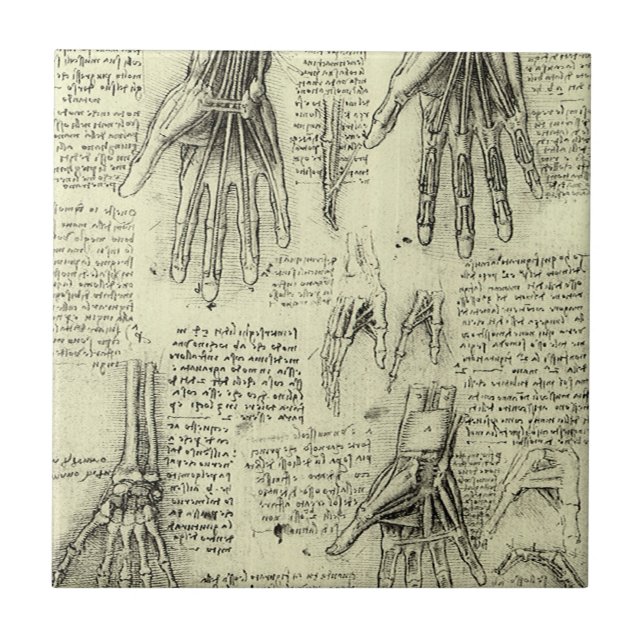 Leonardo da Vinci's Anatomy of the Human Hand Tile (Front)
