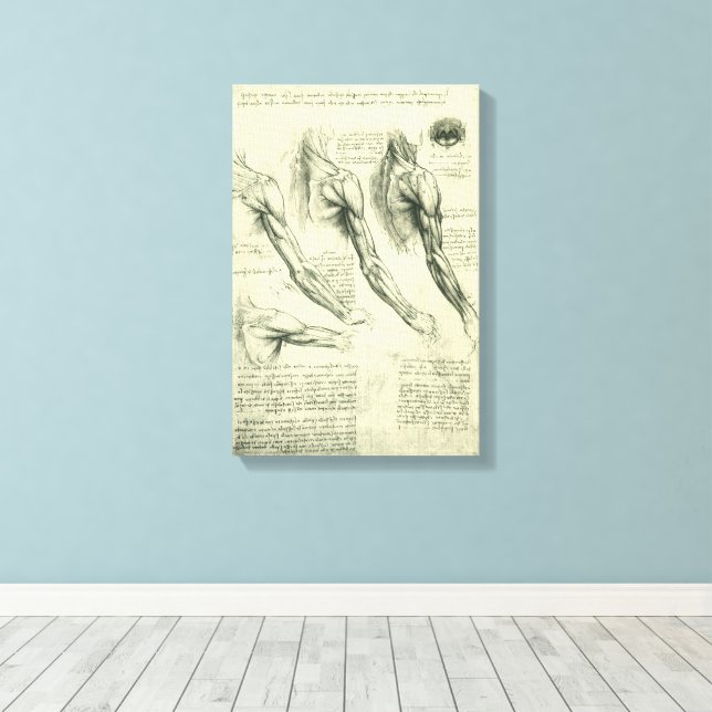 Leonardo da Vinci's Arm and Shoulder Anatomy Canvas Print (Insitu(Wood Floor))