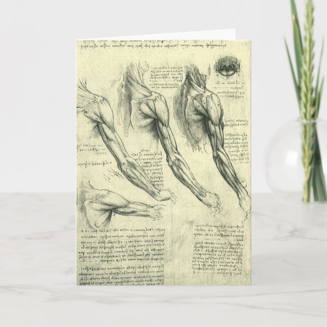 Leonardo da Vinci's Arm and Shoulder Anatomy Card (Front)
