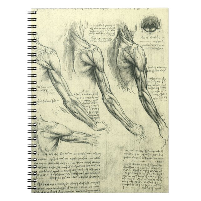Leonardo da Vinci's Arm and Shoulder Anatomy Notebook (Front)