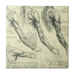 Leonardo da Vinci's Arm and Shoulder Anatomy Tile