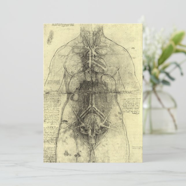 Leonardo da Vinci's Human Anatomy, Female Torso (Standing Front)