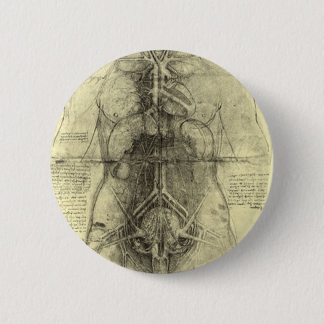Leonardo da Vinci's Human Anatomy, Female Torso 6 Cm Round Badge (Front)