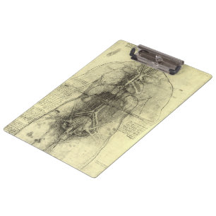 Leonardo da Vinci's Human Anatomy, Female Torso Clipboard