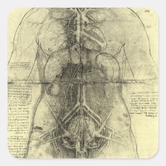 Leonardo da Vinci's Human Anatomy, Female Torso Square Sticker
