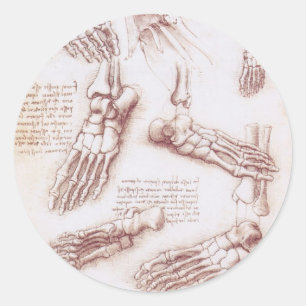 Leonardo da Vinci's Human Anatomy Foot Bones Classic Round Sticker