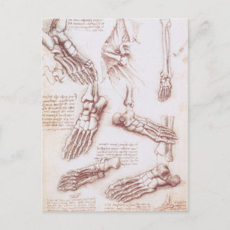 Leonardo da Vinci's Human Anatomy Foot Bones Postcard