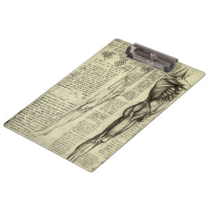 Leonardo da Vinci's Human Anatomy Male Muscles Clipboard