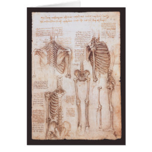 Leonardo da Vinci's Human Anatomy Skeleton Bones
