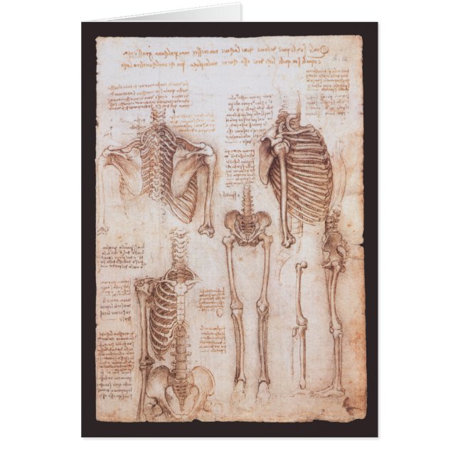 Leonardo da Vinci's Human Anatomy Skeleton Bones (Front)