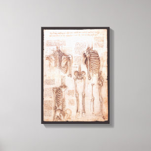 Leonardo da Vinci's Human Anatomy Skeleton Bones Canvas Print
