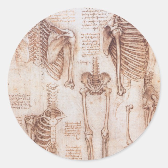 Leonardo da Vinci's Human Anatomy Skeleton Bones Classic Round Sticker (Front)