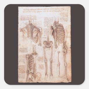 Leonardo da Vinci's Human Anatomy Skeleton Bones Square Sticker