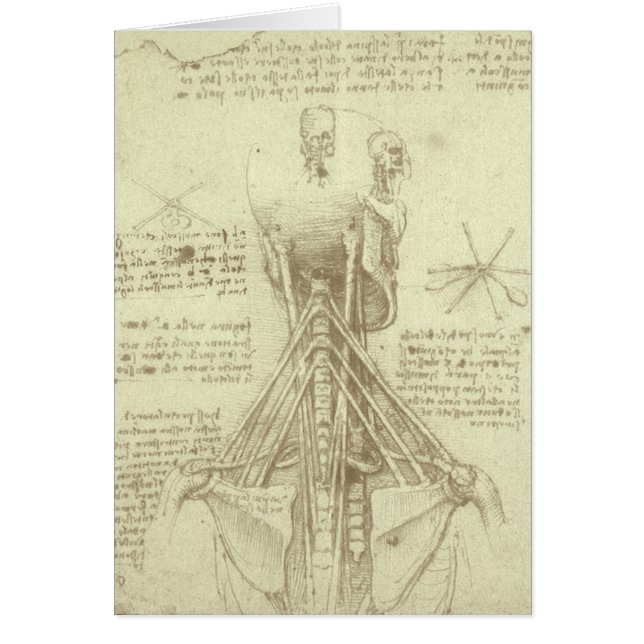 Leonardo da Vinci's Human Anatomy Spinal Column (Front)