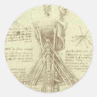 Leonardo da Vinci's Human Anatomy Spinal Column Classic Round Sticker