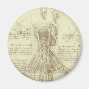 Leonardo da Vinci's Human Anatomy Spinal Column Magnet