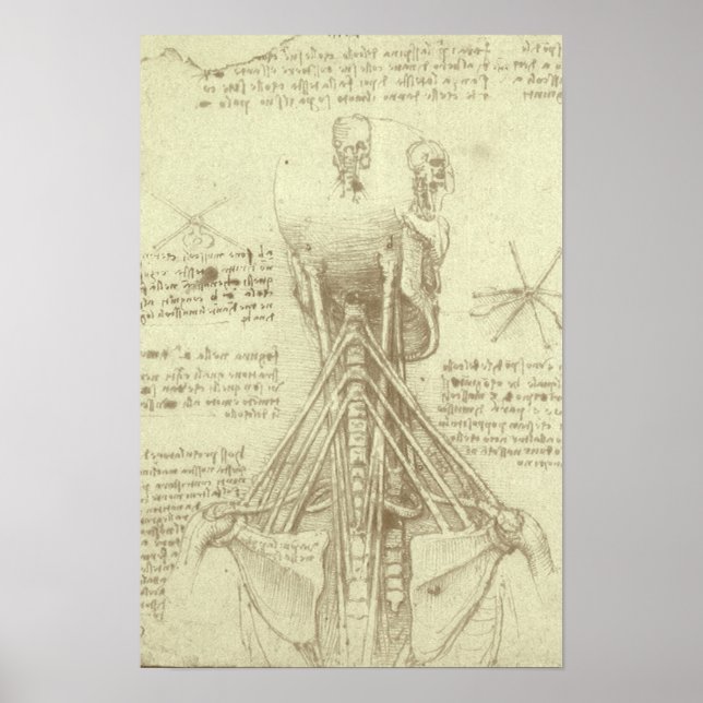 Leonardo da Vinci's Human Anatomy Spinal Column Poster (Front)