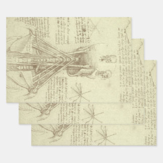 Leonardo da Vinci's Human Anatomy Spinal Column Wrapping Paper Sheet
