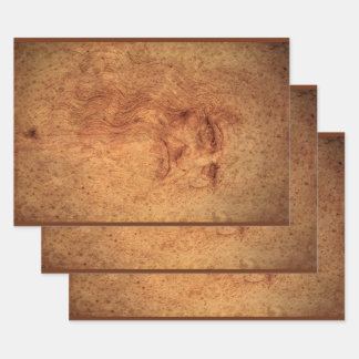 Leonardo da Vinci's Self Portrait, Renaissance Art Wrapping Paper Sheet