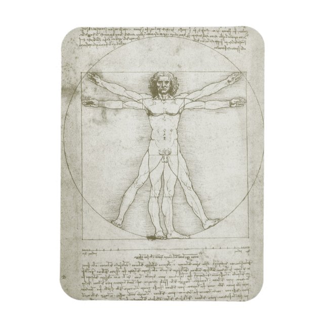Leonardo da Vinci's Vitruvian Man Magnet (Vertical)