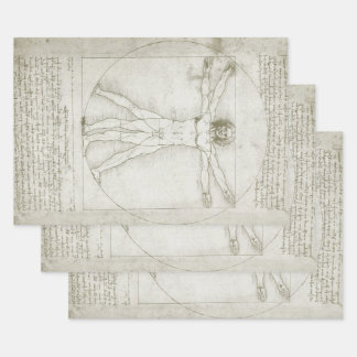Leonardo da Vinci's Vitruvian Man Wrapping Paper Sheet