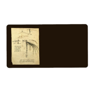Leonardo da Vinci's Wing on Flying Machine Sketch