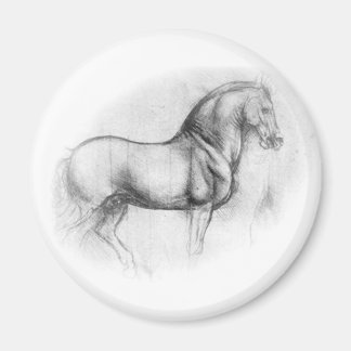 Leonardo DaVinci Horse magnet