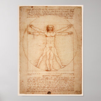 Leonardo de Vinci Drawing Poster