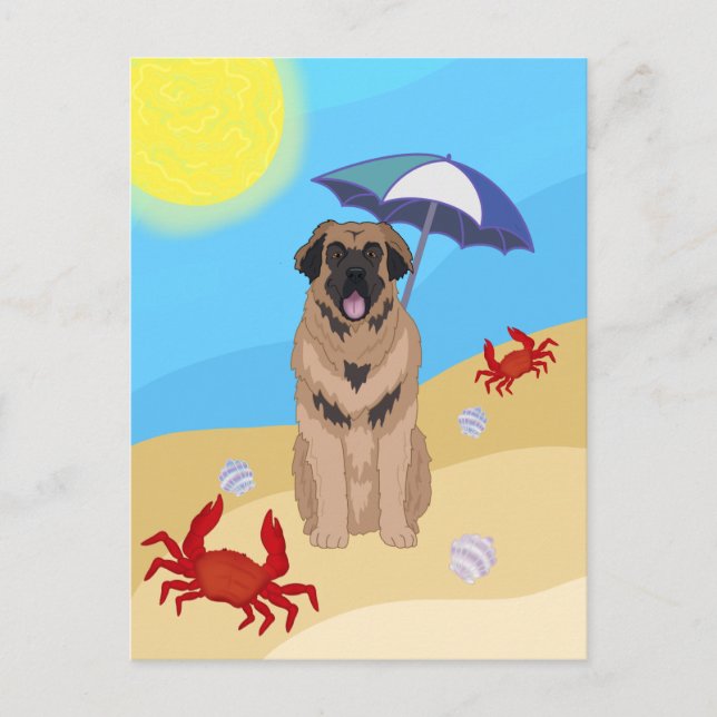 Leonberger Beach Postcard (Front)