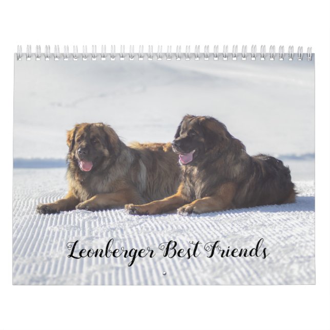 Leonberger Best Friends Calendar (Cover)