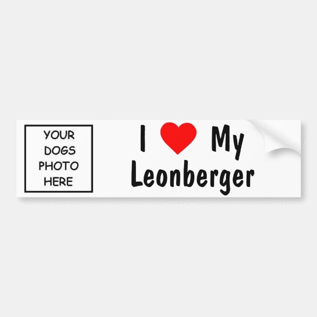 Leonberger Bumper Sticker (Front)