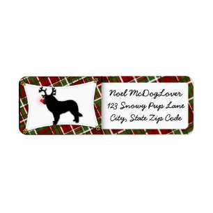 Leonberger Christmas
