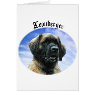 Leonberger Clouds