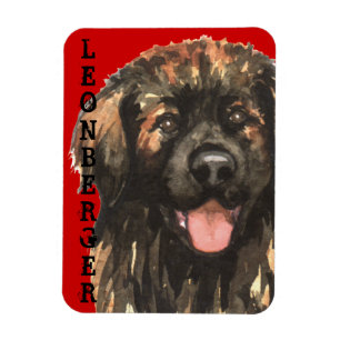 Leonberger Colour Block Magnet