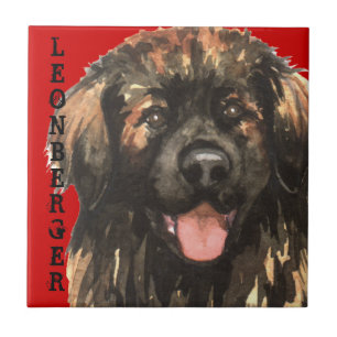 Leonberger Colour Block Tile