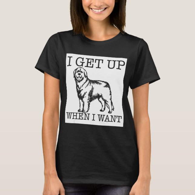 Leonberger  dog   1 T-Shirt (Front)