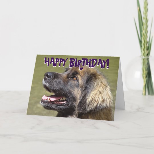 LEONBERGER LOVELY DOG ART GREETINGS NOTE CARD