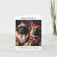 Leonberger Dogs in Christmas Sweaters