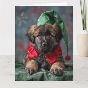 Leonberger Elf Puppy Christmas Card