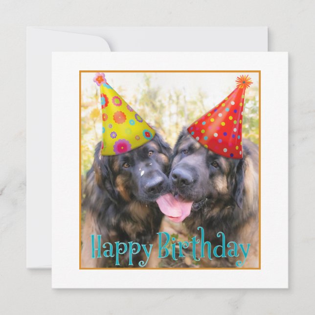 Leonberger Happy Birthday Thank You Card (Front)