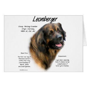 Leonberger History Design