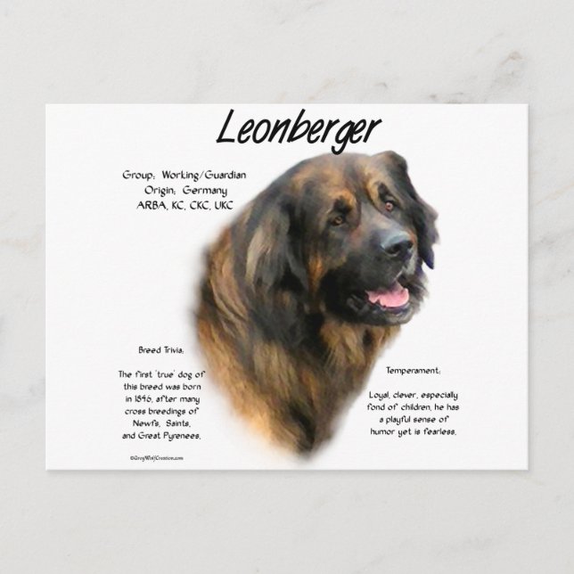 Leonberger History Design Postcard (Front)